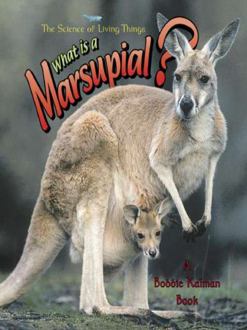 Title details for What is a Marsupial? by Bobbie Kalman - Available